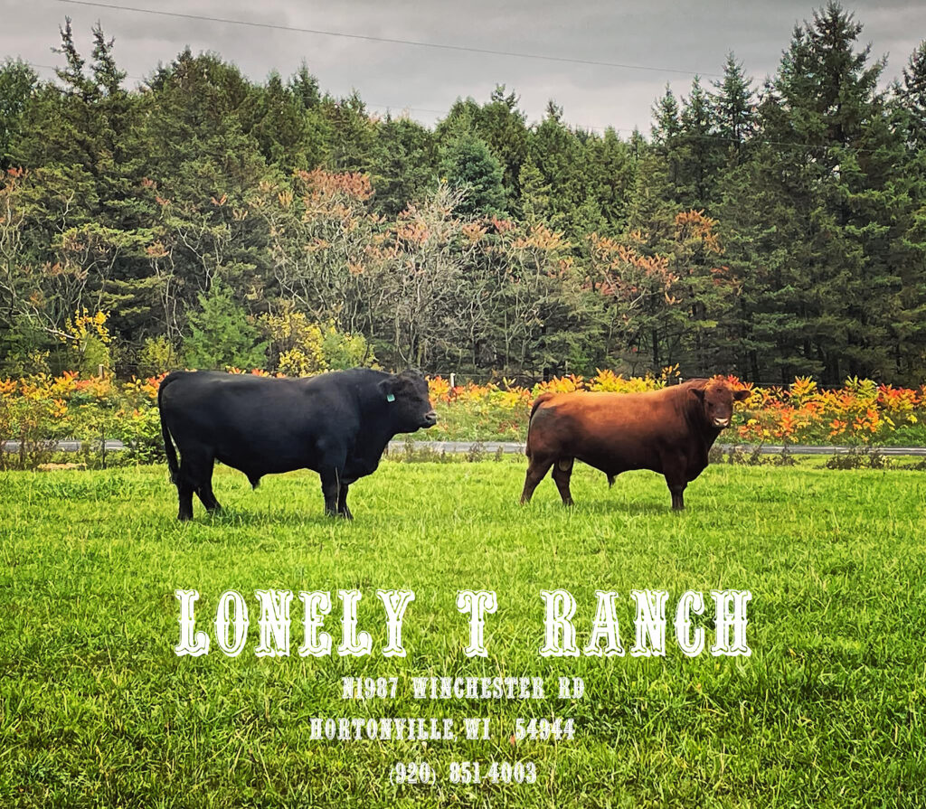 Lonely T Ranch