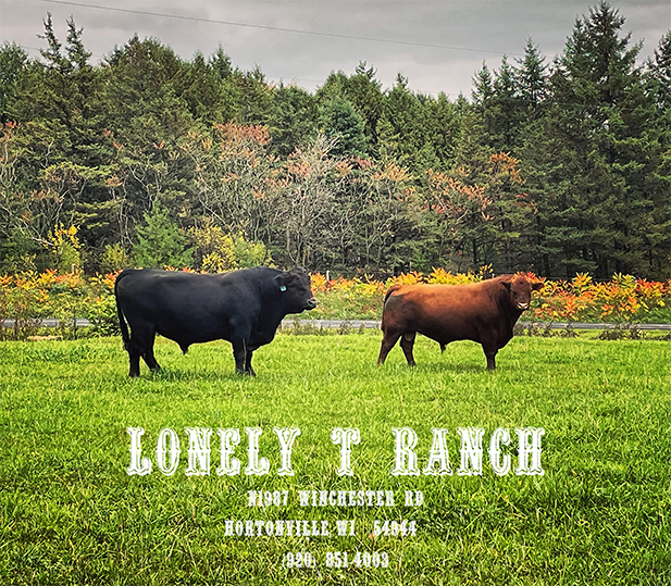 Lonely T Ranch
